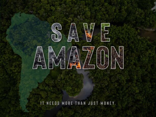 Amazon rainforest