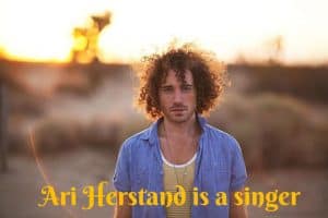 Ari Herstand singer