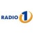 Radio 1 Ribnica