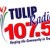 Live Tulip Radio
