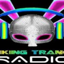 Viking Trance Radio