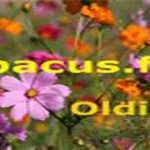 online radio Abacus FM Oldies,