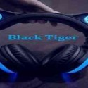 online radio Black Tiger Recordings