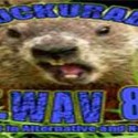 ChuckU AltWav 80s, Online radio ChuckU AltWav 80s, Live broadcasting ChuckU AltWav 80s, Radio USA
