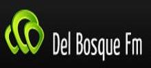 Del Bosque FM