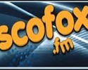 online radio Discofox FM, radio online Discofox FM,
