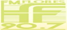 FM Flores