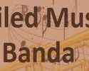 Miled Music Banda, Online radio Miled Music Banda, live broadcasting Miled Music Banda