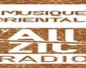 live online radio Allzic Orientale