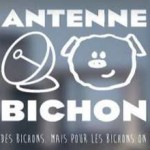 Live online radio Antenne Bichon