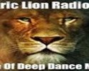 online Electric Lion Radio