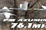 online radio FM Azumino, radio online FM Azumino,
