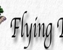 Flying Tree, Online radio Flying Tree, Live broadcasting Flying Tree, Radio USA, USA