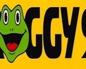 Froggy 97, Online radio Froggy 97, Live broadcasting Froggy 97, Radio USA, USA