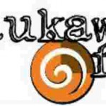 Raukawa FM, Online Radio Raukawa FM, Live broadcasting Raukawa FM, New Zealand
