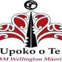 Te Upoko o te Ika Radio, Online radio Te Upoko o te Ika Radio, Live broadcasting Te Upoko o te Ika Radio, New Zealand