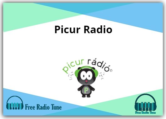 Picur Radio