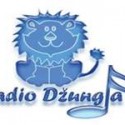 Live Radio Dzungla