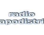 Live Radio Capodistria