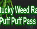 Kentucky Weed Radio online
