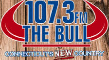 107.3 The Bull