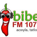 Biber FM live