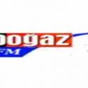 Bogaz FM live