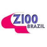 Z100 Brazil live