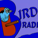 Birdhill Radio live