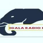 Igala-Radio-Ng-live