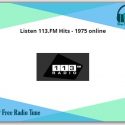 13.FM Hits - 1975