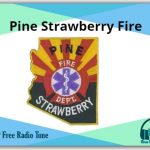 Pine Strawberry